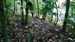 ‍MADRE NATURA INCANTA,SEDUCE E SI FA PRENDERE DAGLI UOMINI CHE FANNO JOGGING NEL BOSCO