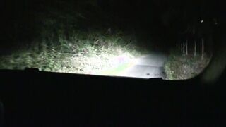 La cagna dopo la messa pascola nelle stradine sterrate per prendere il cazzo in bocca